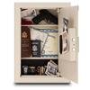 Image of Mesa MAWS2113E Wall Safe Armadillo Safe and Vault